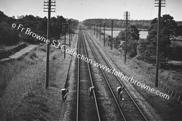 LINESMEN ON RAILWAY